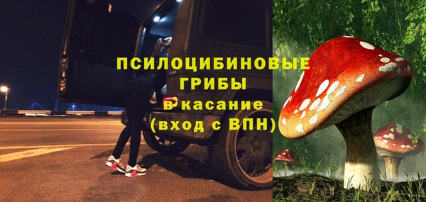 дживик Вяземский