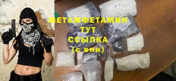 прущие грибы Горно-Алтайск